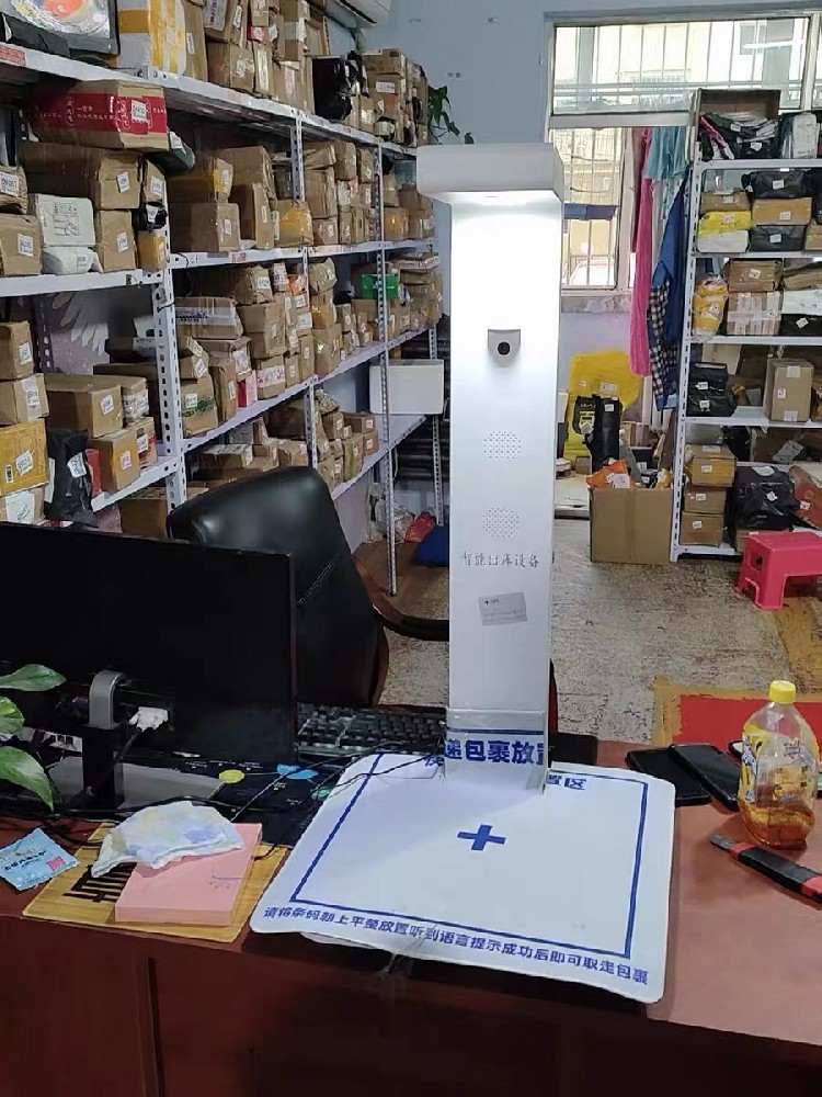 武漢快遞下鄉(xiāng)專用出庫儀